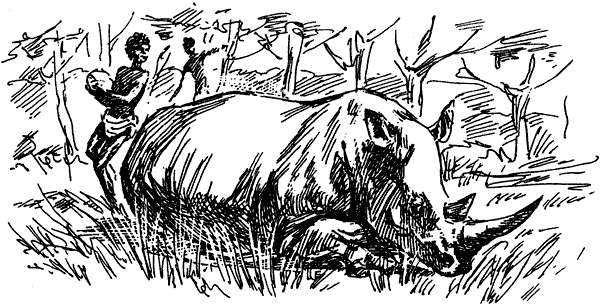 Самые удивительные животные мира - i_021.png