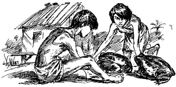 Самые удивительные животные мира - i_028.png