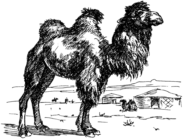 Самые удивительные животные мира - i_031.png