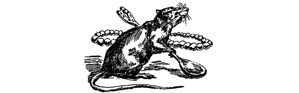 Самые удивительные животные мира - i_036.png