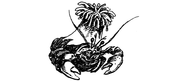 Самые удивительные животные мира - i_062.png