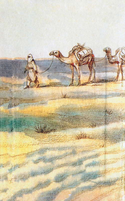 Самые удивительные животные мира - i_087.jpg