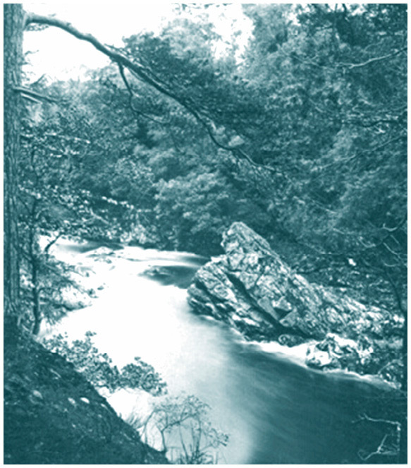 Настоящая история магии - i_043.jpg