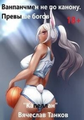Ванпанчмен не по канону. Книга вторая. Превыше богов (СИ) - автор Танков Вячеслав 