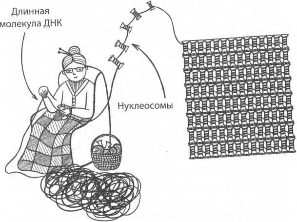 Человек редактированный, или Биомедицина будущего - image2.jpg