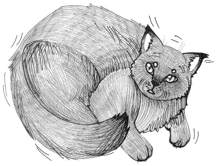 Яжмаг. Трилогия (СИ) - img_6