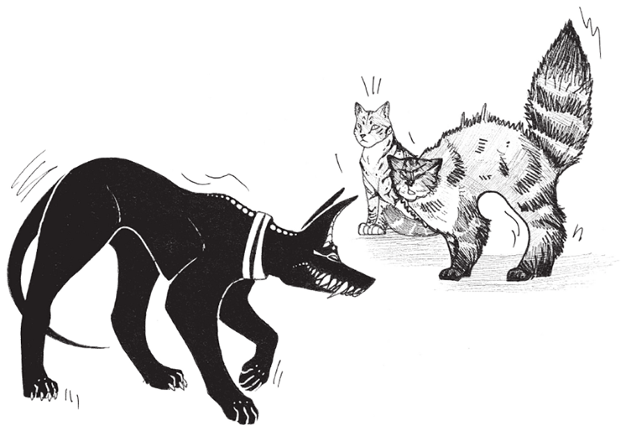 Яжмаг. Трилогия (СИ) - img_56