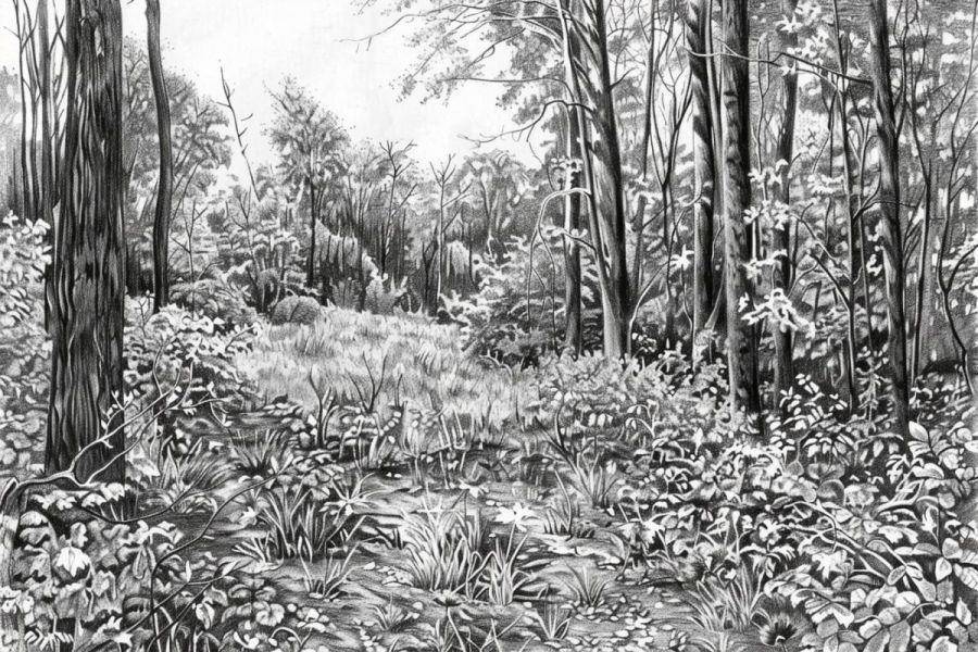 Иванов-сан (СИ) - img_20