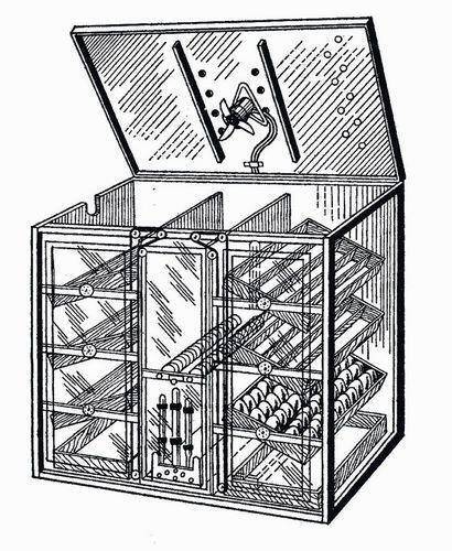 Великий диктатор. Книга вторая (СИ) - img_120