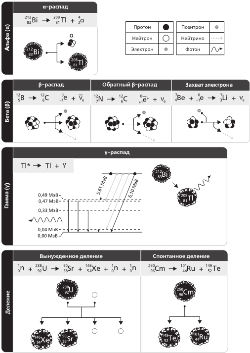 Хранители времени. Реконструкция истории Вселенной атом за атомом - img_21