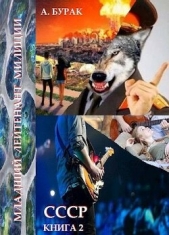  Бурак Анатолий - Младший лейтенант милиции (СИ)