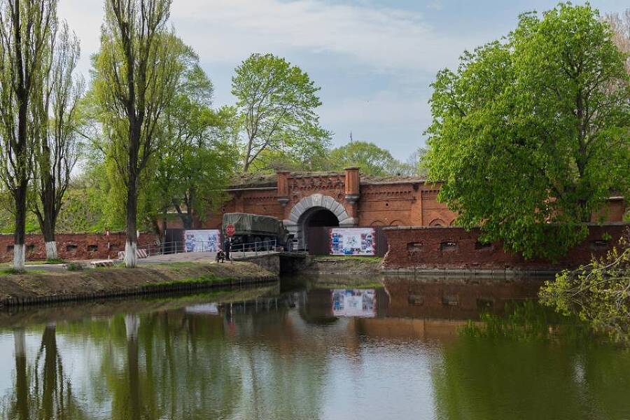 Прусское наследство (СИ) - img_4