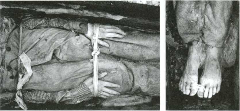 Загадка пропавшей экспедиции - i_028.jpg