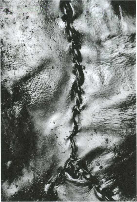 Загадка пропавшей экспедиции - i_033.jpg