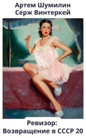 Ревизор: возвращение в СССР 20 (СИ) - автор Винтеркей Серж 