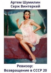 Ревизор: возвращение в СССР 20 - автор Винтеркей Серж 