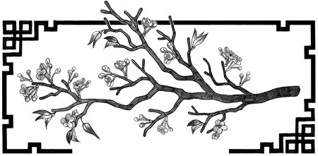Злодейский путь!.. Том 1 и Том 2 - i_006.jpg
