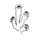 Петля времени - i_011.jpg