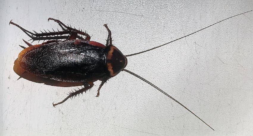 Не валяй дурака, Америка… (СИ) - img_5