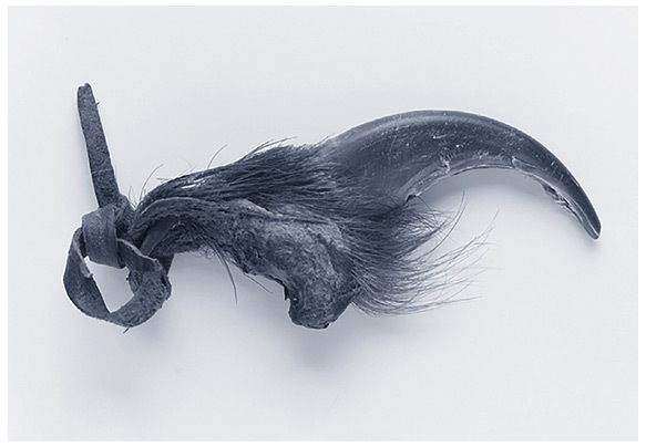 Мифы северных народов России - i_077.jpg