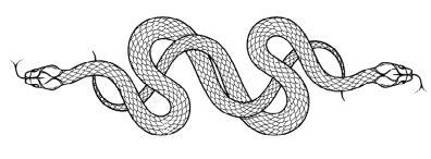 Змеиное братство - i_012.jpg