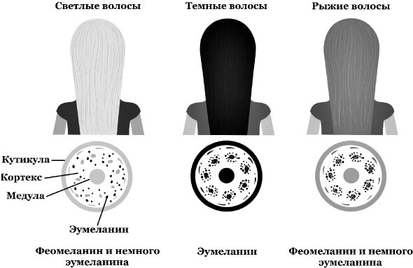 Генетическая лотерея - i_012.jpg