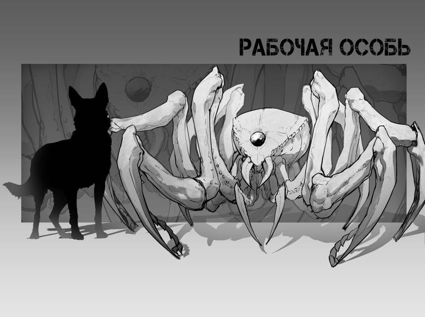 Космодесы (СИ) - img_3