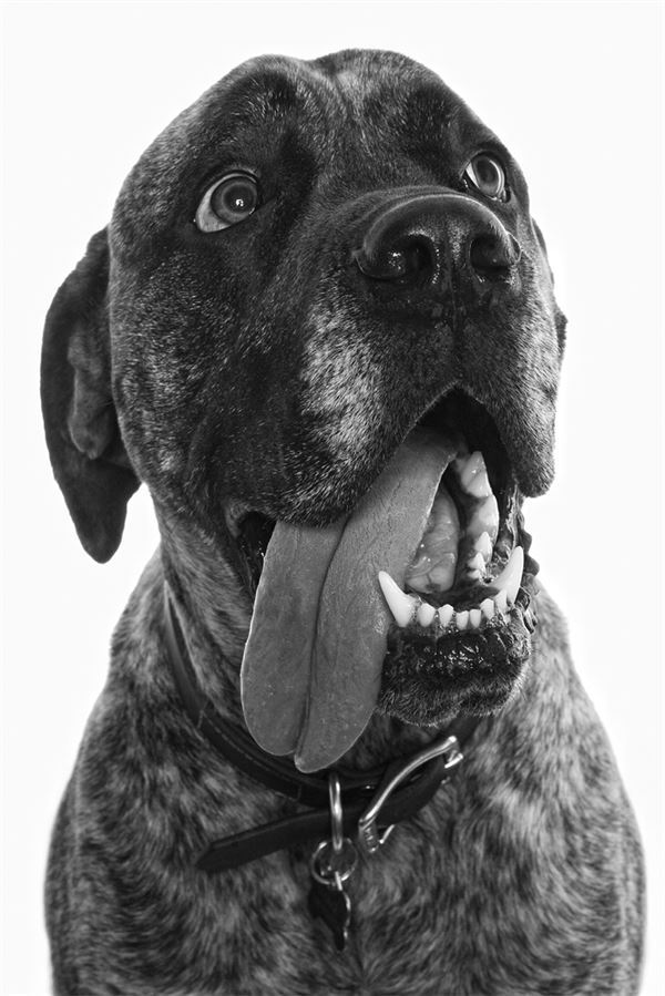 Физика без преград. Увлекательные научные факты, истории, эксперименты - img_19