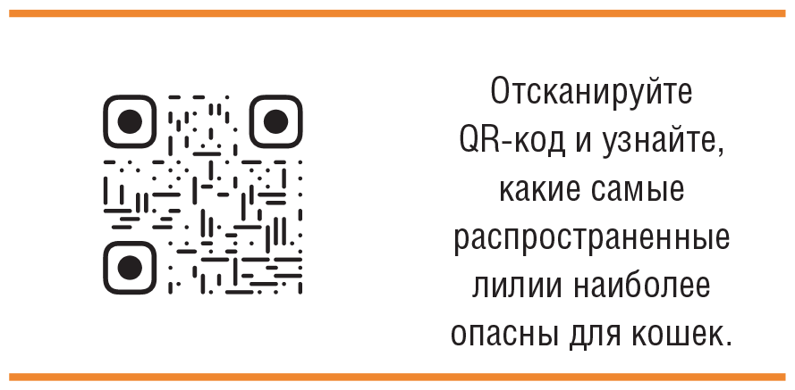 Главная книга владельца кошки - i_056.png