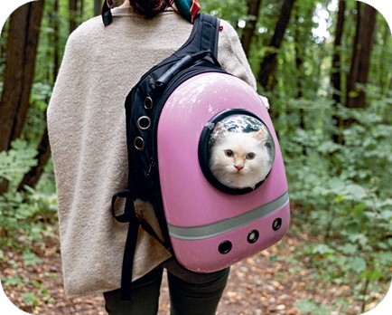 Главная книга владельца кошки - i_070.jpg