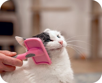 Главная книга владельца кошки - i_088.jpg