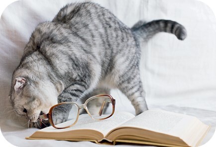 Главная книга владельца кошки - i_114.jpg