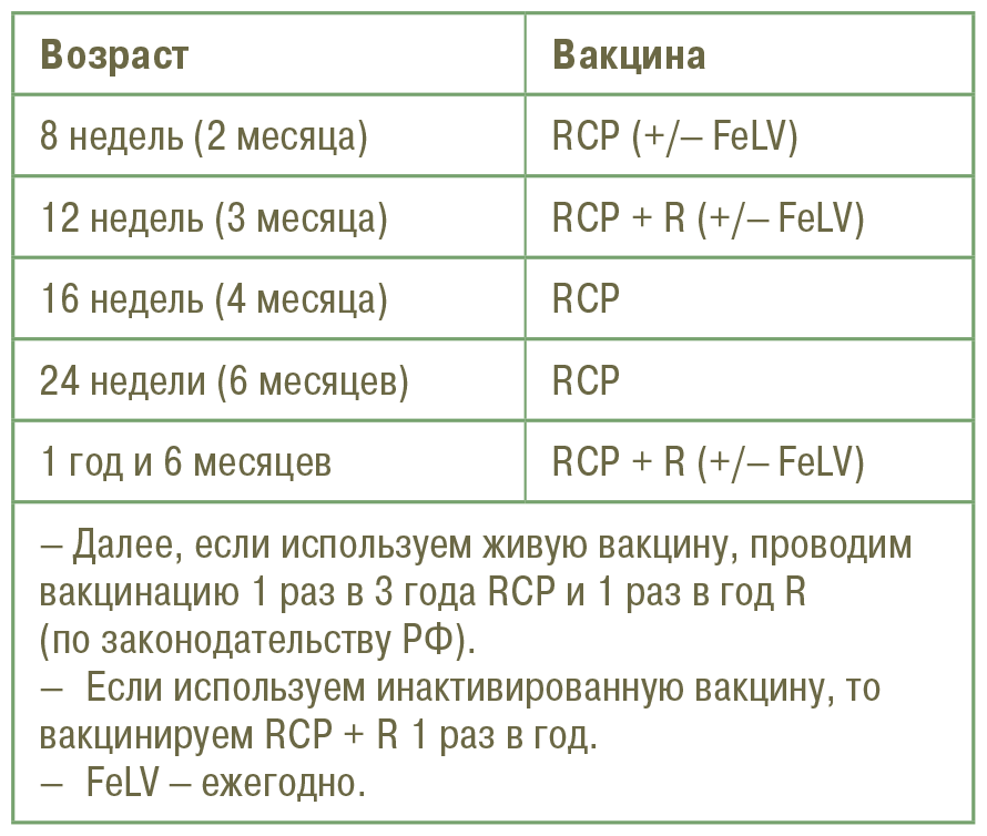 Главная книга владельца кошки - i_135.png