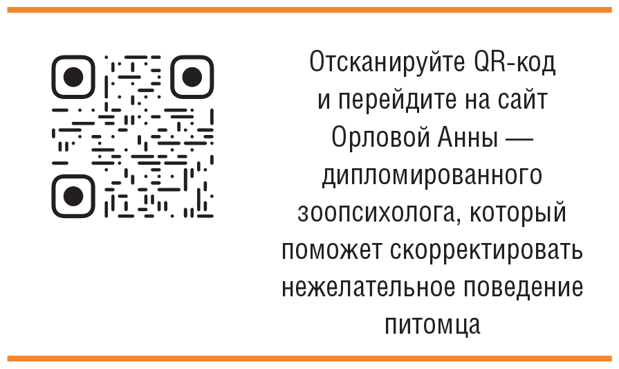 Главная книга владельца кошки - i_247.png