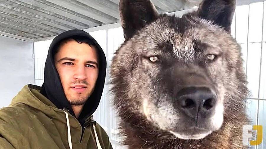 Приручитель женщин-монстров. Том 3 (СИ) - img_16