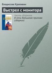 Выстрел с монитора (сборник) - автор Крапивин Владислав Петрович 