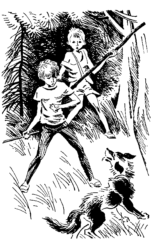 Избранное в 2 томах. Том 1 - pic_15.png