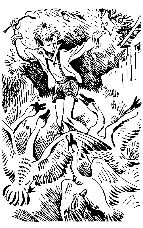 Избранное в 2 томах. Том 1 - pic_16.png