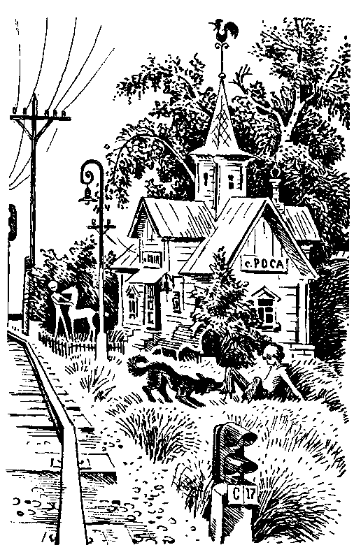 Избранное в 2 томах. Том 1 - pic_20.png