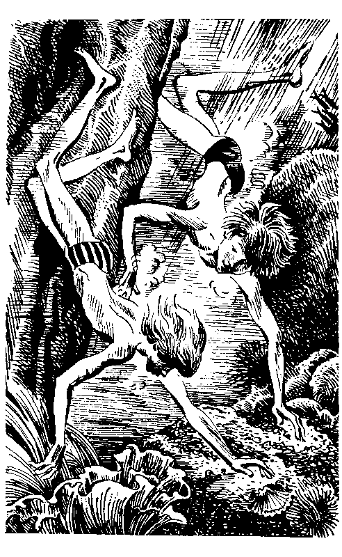 Избранное в 2 томах. Том 2 - pic_35.png