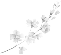 Красавицы Бостона. Распутник - i_002.png