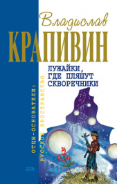 Лужайки, где пляшут скворечники (сборник)  - автор Крапивин Владислав Петрович 