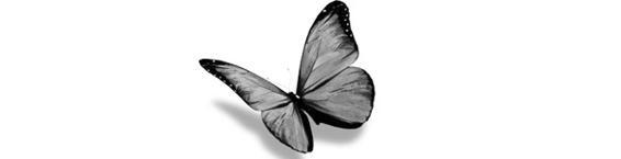 Испорченный король (ЛП) - img_1