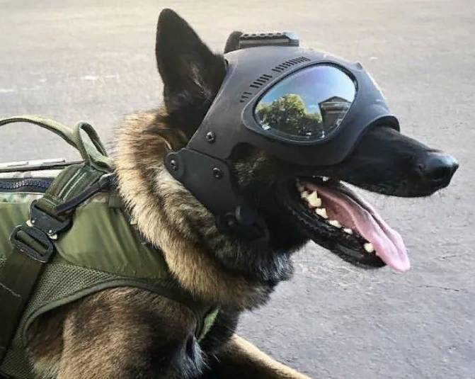 Красная угроза: Командир ONLINE! (СИ) - img_7