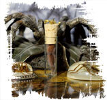 Медиум: в поисках жизни - i_026.jpg