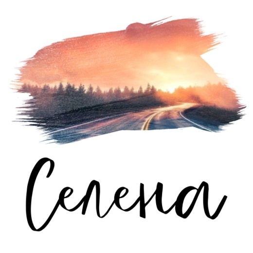 Попутчик (ЛП) - img_9