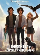 Повелитель пространства. Том 4 (СИ) - автор Мальцев Дмитрий 