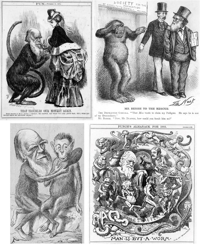 Мертвый лев: Посмертная биография Дарвина и его идей - i_006.jpg