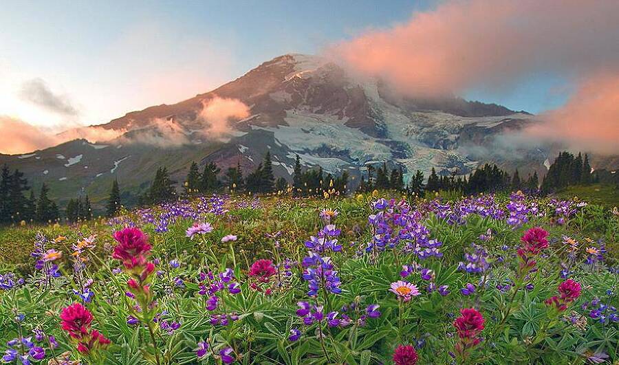 Особо опасен (СИ) - img_26