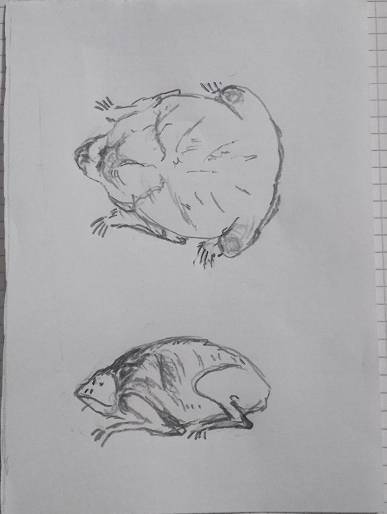 S-T-I-K-S. Хозяин Треугольника (СИ) - img_4